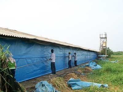 建设狗场的关键要素（为您解析成功建设狗场的关键要点）