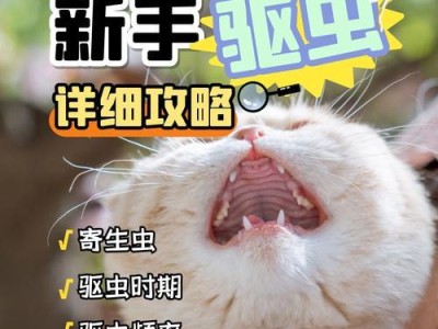 猫咪驱虫指南——了解正确的用药剂量（驱虫时需注意的事项及建议）