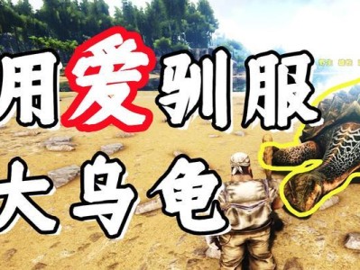 淡水碳龟的饲养方法（打造舒适的家园，让碳龟健康成长）