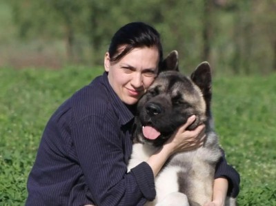 为何价格高的秋田犬饲养稀少？（6个原因揭秘，探究高价秋田犬稀缺之谜）
