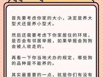 为什么第一次养狗不建议养法斗？（探索法斗养狗的种种难题与挑战）
