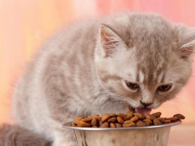 科学喂养，宠爱猫咪的正确饮食量（为猫咪制定合理的每日饮食计划，保证健康生活）