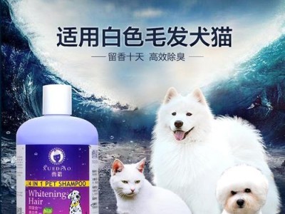 如何为博美狗狗选择适合的沐浴露（宠物洗护必备，有效保持狗狗健康）