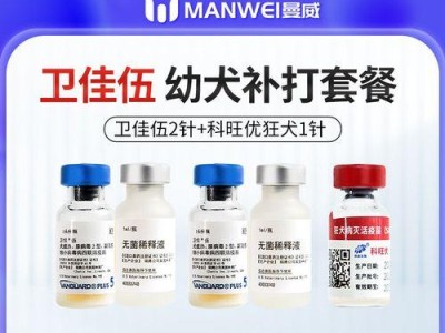 狗狗疫苗全解析（狗狗疫苗接种时间表及作用解读）