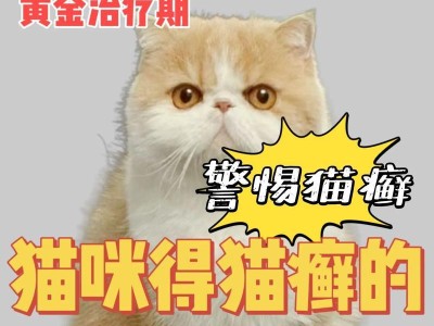 小猫得了猫藓，需要特别注意的药物禁忌（保护小猫健康，避免误食有害药物）