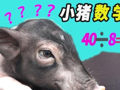 如何训练狗狗算数（从基础计数到高阶运算，让你的宠物成为算数小能手）