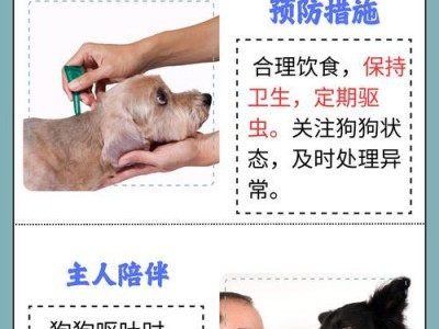 狗狗为什么吃完会呕吐？（探究狗狗呕吐的原因及预防方法）