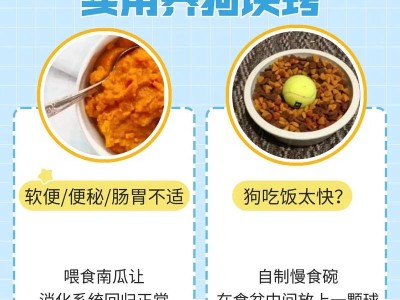 揭秘狗狗口臭严重的原因（了解口臭的危害及预防方法）