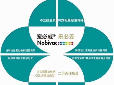 宠物疫苗的重要性与常见种类（了解宠物疫苗的类型及其保护作用）