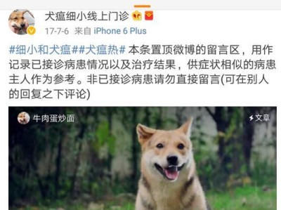 两个月小狗狗瘟的饮食安排（为小狗狗提供营养均衡的食物，保护健康成长）