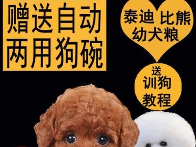 泰迪幼犬何时能够自己吃？（探讨泰迪幼犬从母乳到自主进食的成长过程）