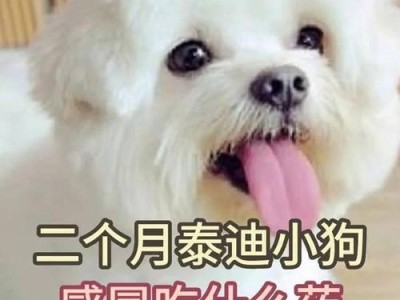 泰迪每天吃什么？——为宠物泰迪提供健康饮食（了解泰迪的饮食需求，为其提供均衡营养的饮食方案）
