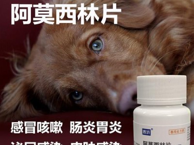 狗狗外驱药，保护宠物健康（选择合适的外驱药，防范宠物外寄生虫侵袭）