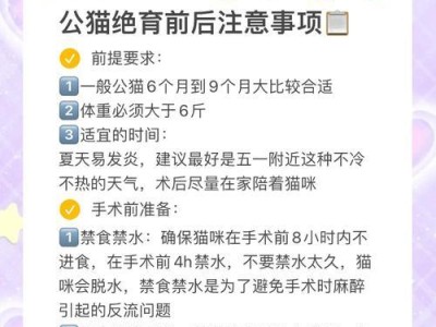 母猫绝育后多久可以喂东西？（了解母猫绝育术后的饮食时间）
