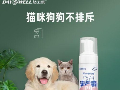 以泰迪用什么干洗能更好地保护犬毛？（选择合适的干洗方法为您的泰迪提供最佳护理）