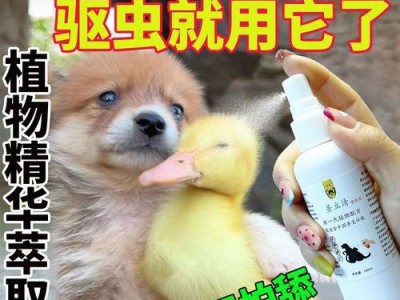 让爱犬远离蚤虫，春夏必须注意的驱虫重要性（为什么春夏季节要注意帮狗狗除蚤驱虫？一起了解下吧！）