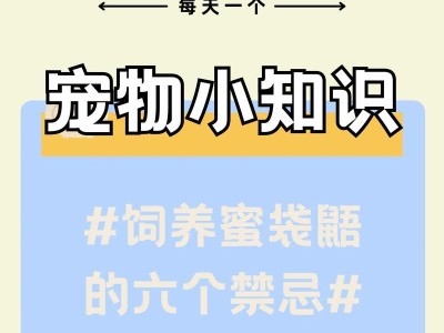 如何合理饲养澳洲蜜袋鼯（掌握这些方法，让它们健康快乐成长）