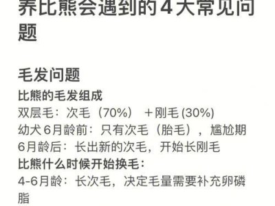 养比熊的好处（与比熊相伴，快乐无限）