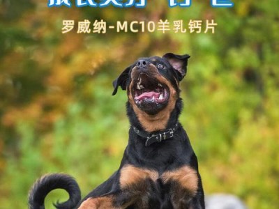狗狗吃什么牌子的钙片最好？（选择适合你的狗狗的优质钙片）