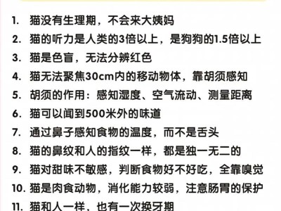 为什么养猫不吉利？（探索养猫的迷信背后真相）