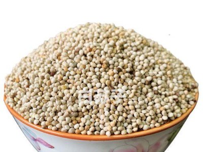 天空中的猎影（探索食物链中的鲜活细节，揭开捕食者的面纱）