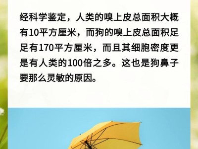 狗鼻子为何干燥？（探究狗鼻子干燥的原因及其重要性）