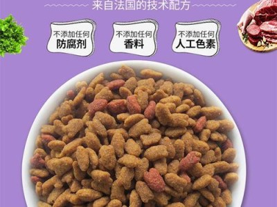 揭秘牛油果猫粮的独特形状（探究以牛油果猫粮为什么形状特殊的原因）