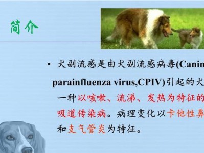 狗流感的药物治疗与预防方法（——狗流感、药物治疗、预防方法）