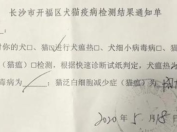猫咪托运前一个月必须打狂犬疫苗，保障宠物健康（关爱宠物，从安全出发；狂犬疫苗，保护你我他。）
