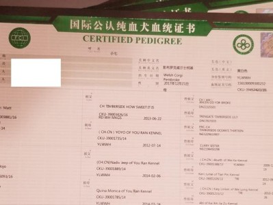 揭秘狗狗出生纸的含义与重要性（宠物犬的身份证明与健康保障）