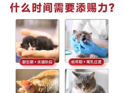 为猫咪术后提供营养的必备营养膏（选择适合猫咪术后的营养膏，关爱它们的健康与幸福）
