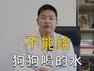 狗狗的水分摄入量（为什么不喝足够的水会导致健康问题）