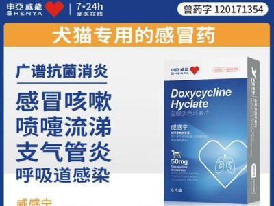 狗狗过敏老打喷嚏怎么办？药物治疗是关键（了解过敏原，选择正确药物，让狗狗远离喷嚏困扰）