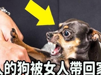 以咬人最多的狗是什么狗？（探索世界上攻击性最高的狗的品种）