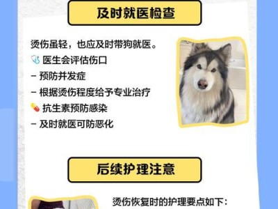 狗伤口愈合时间的探究（深入了解狗伤口的愈合过程与时间）