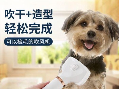 狗狗洗澡完如何科学吹干（选择合适的吹风机为你的宠物提供舒适体验）