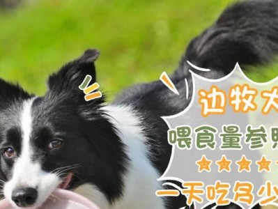如何正确喂养两个月大的狗狗（掌握适当的食量，让狗狗健康成长）