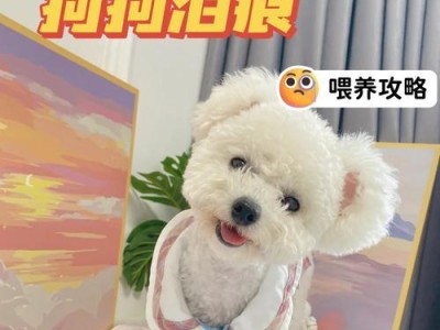 揭秘影响博美犬价格的四大因素（必看！养狗人士必读的购买指南）