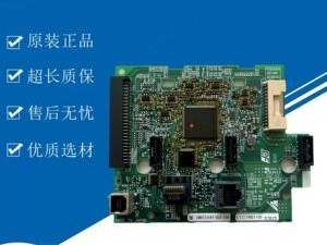 如何正确饲养安川兔（安川兔的特点与饲养技巧）