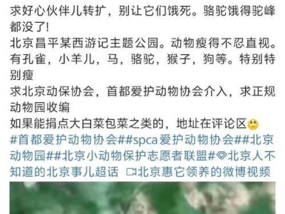 猕猴饲养指南（了解猕猴的习性与健康需求，打造理想家园）