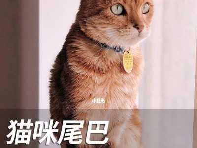 猫咪的尾巴语言（从尾巴看猫咪的状况和心情，了解宠物的语言）