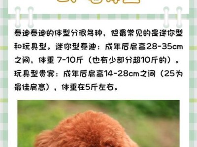 探寻泰迪与串串之争（纯种泰迪与混血串串的优点与特点，让你更了解它们）