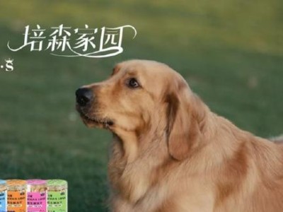 狗狗消化问题解决方法（以食物为媒介，促进狗狗消化）