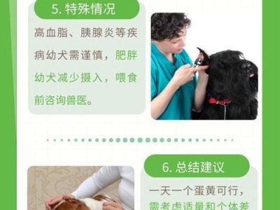 小狗的喂食时间安排（建立科学规律，呵护宠物健康）