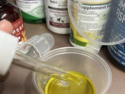 如何避免狗狗意外的怀孕（控制繁殖关爱宠物）