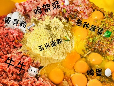 宠物泰迪的饮食秘籍（满足泰迪美食欲望的15种食物推荐）