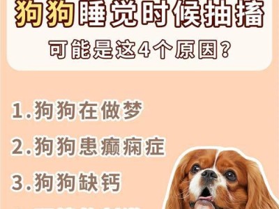 狗狗腿按压疼的原因及处理方法（了解狗狗腿按压疼的常见原因和有效的处理方法）