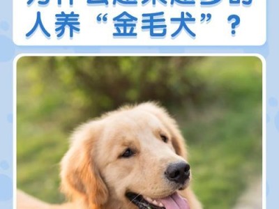 金毛为什么那么记仇？（解析金毛犬的记仇本能与行为习性）