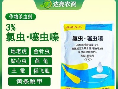 黄地老虎的饲养方法（建立舒适的生活环境让老虎健康成长）