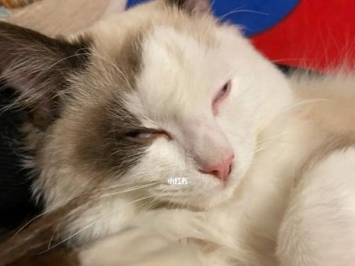 宠物猫长期睡觉可能患上什么疾病？（长时间睡觉是猫咪生病的先兆，关注这些症状及时预防）